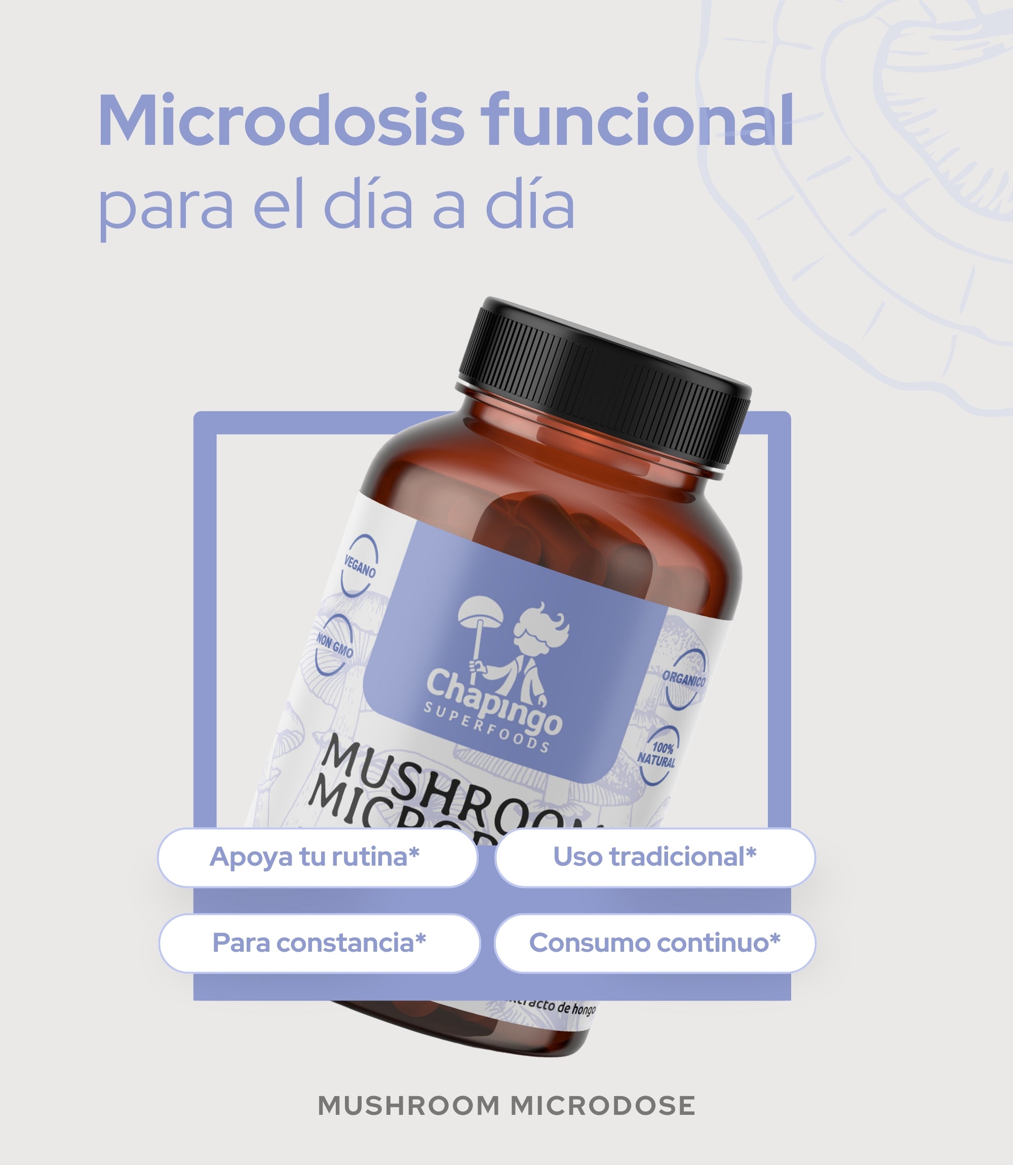 Mushroom Microdose | Chapingo Superfoods
