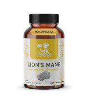 Lion’s Mane | Chapingo Superfoods