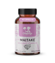 Maitake | Chapingo Superfoods