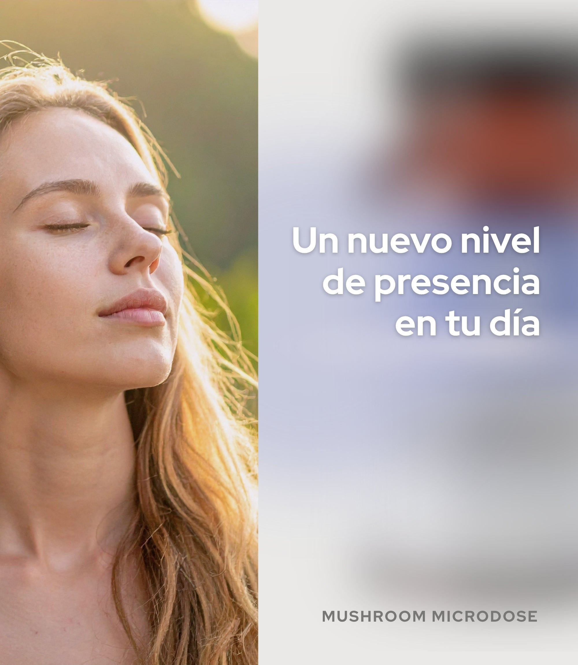 Mushroom Microdose | Chapingo Superfoods