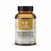 Mushroom Microdose con Lion’s Mane y Niacina | Chapingo Superfoods