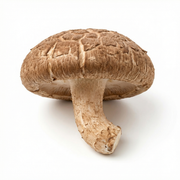 Shiitake deshidratado
